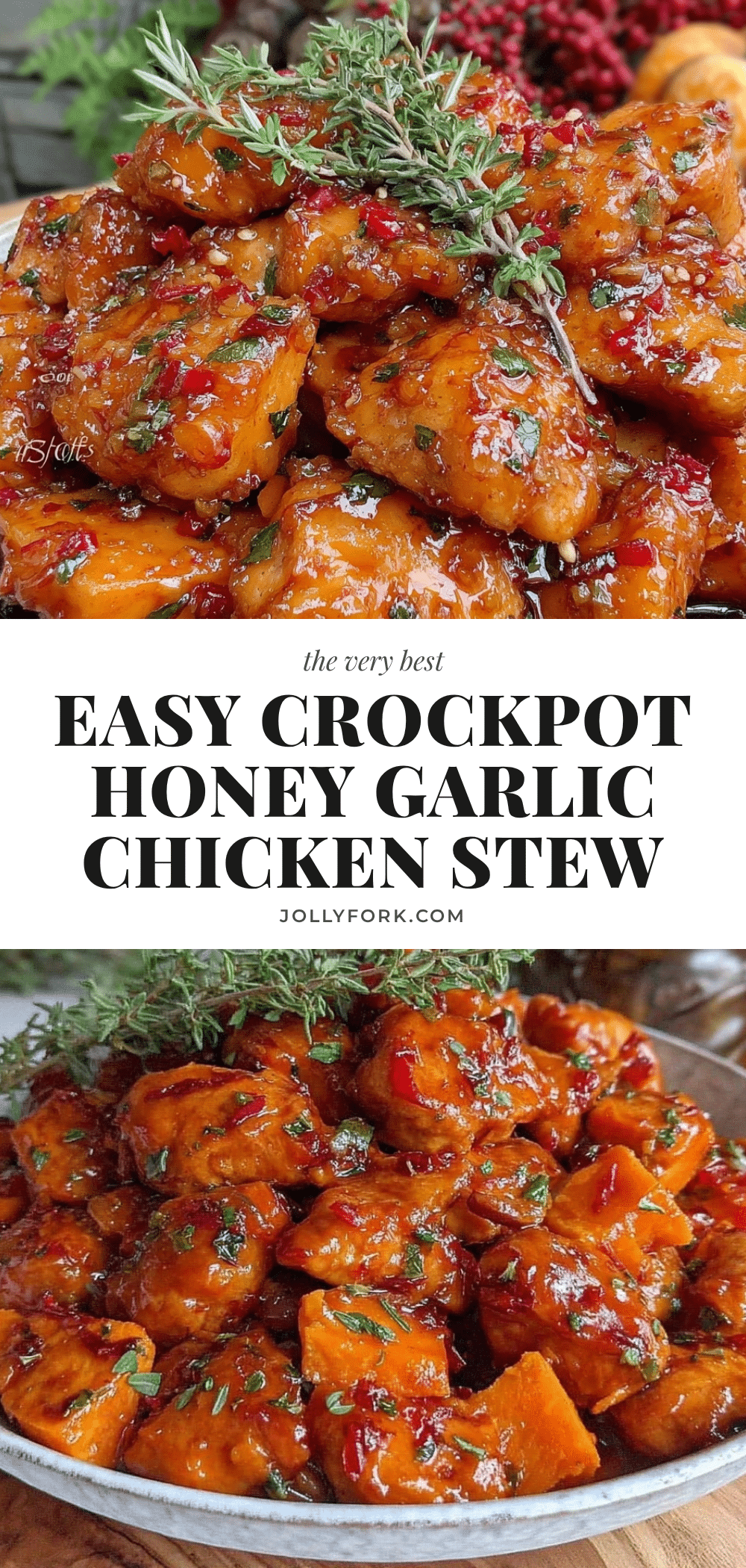 easy crockpot honey garlic chicken stew recipe