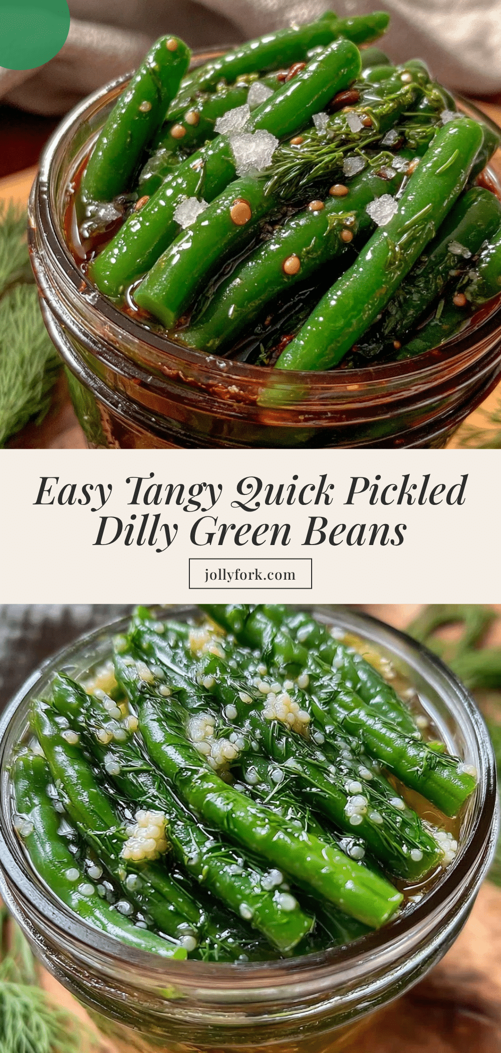 quick pickled dilly green beans recipe