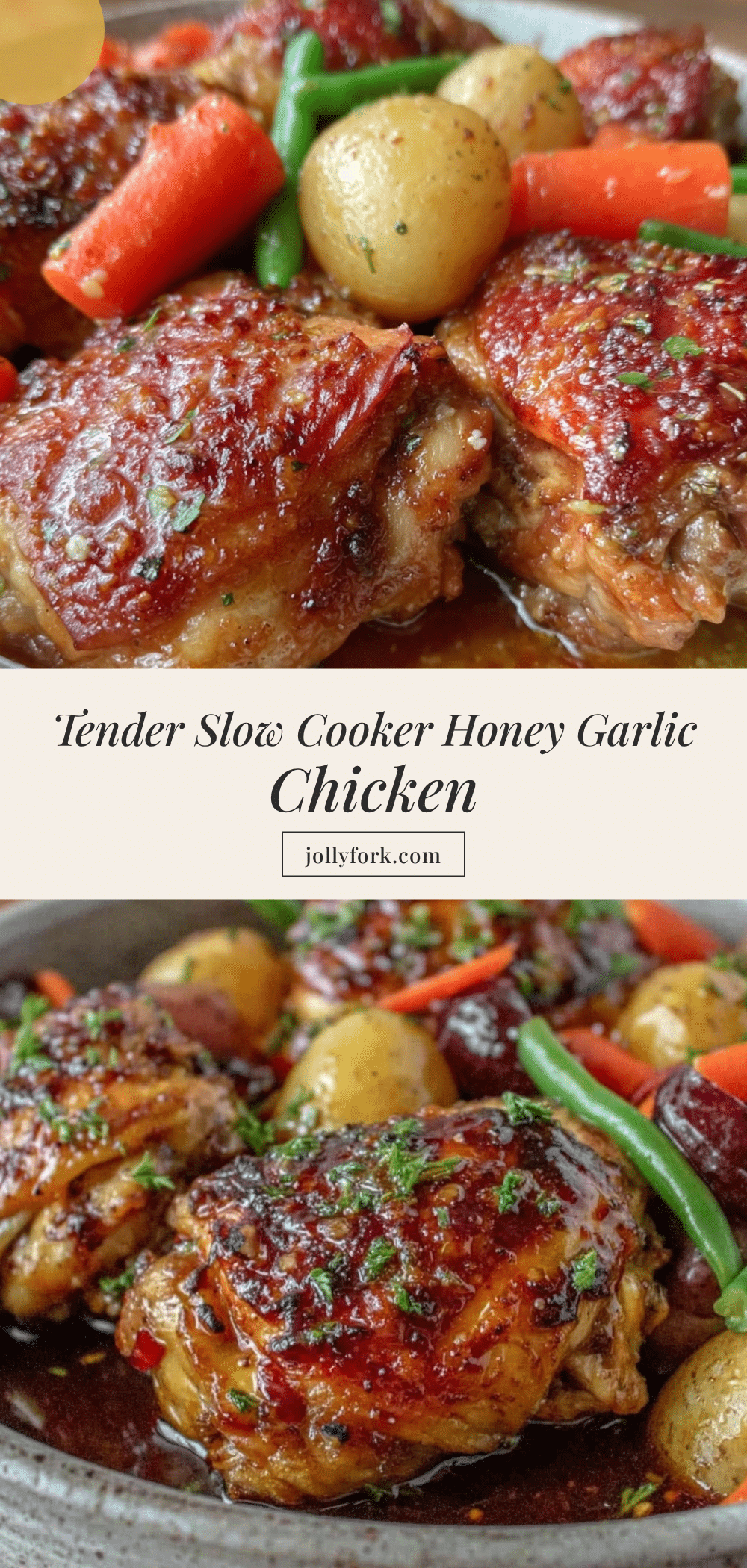 slow cooker honey garlic chicken recipe