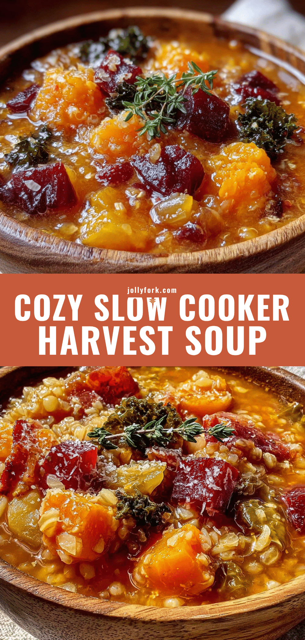 cozy slow cooker fall harvest vegetable soup recipe
