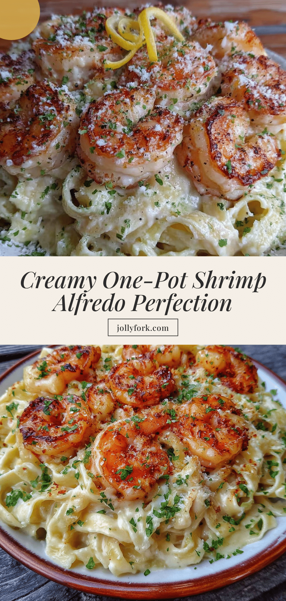 creamy one-pot shrimp alfredo pasta recipe