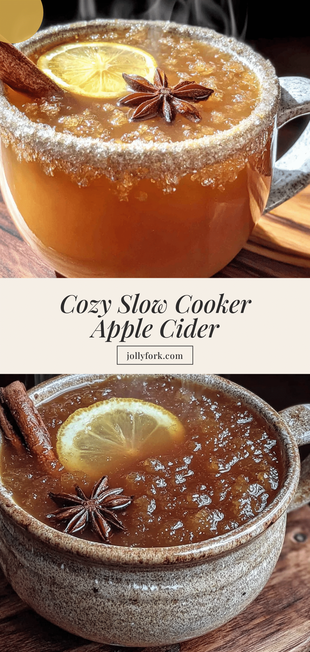 slow cooker apple cider recipe