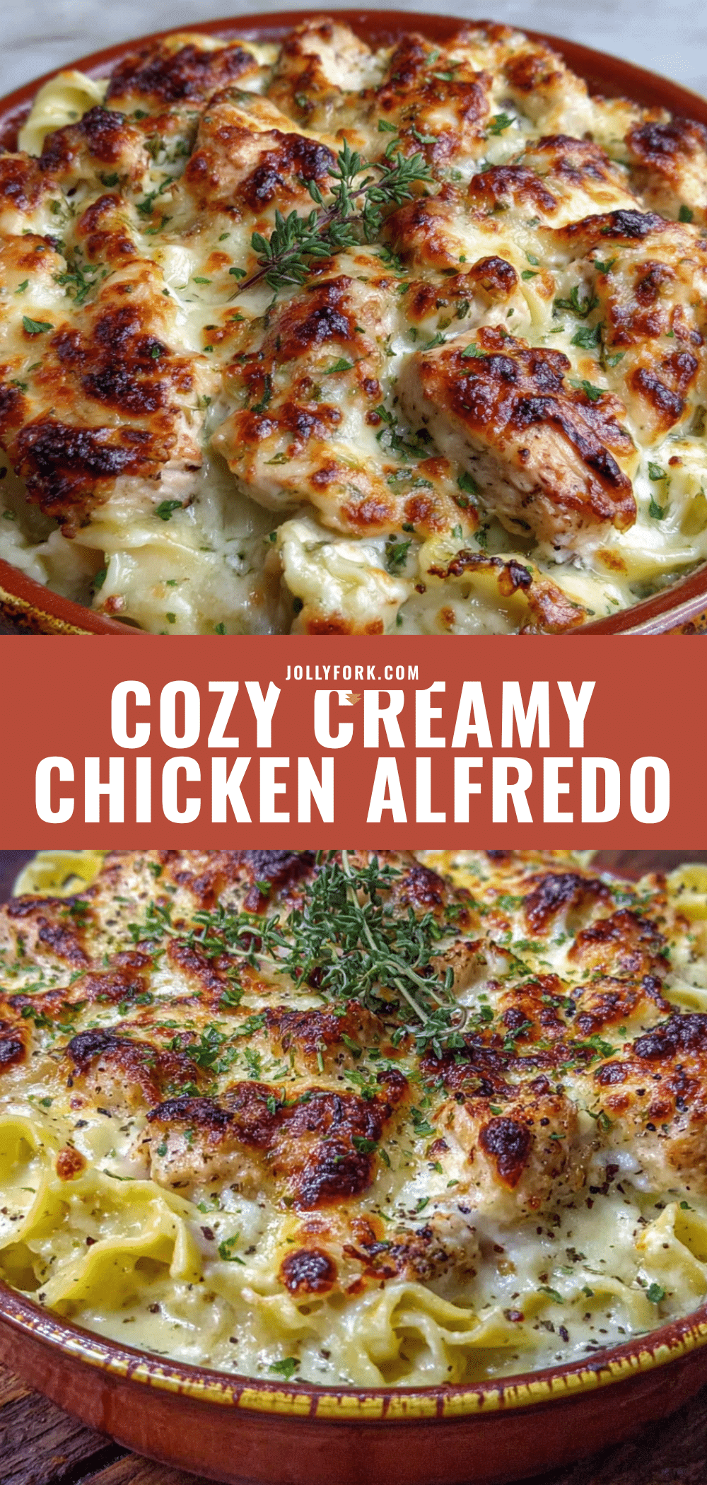 cozy creamy chicken alfredo bake recipe
