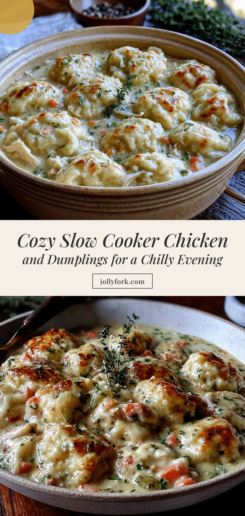 cozy slow cooker chicken and dumplings recipe