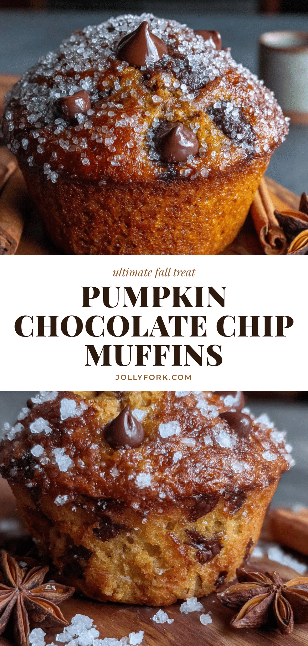 pumpkin chocolate chip muffins recipe