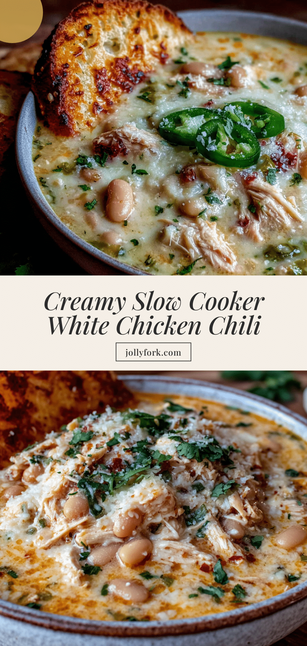 creamy slow cooker white chicken chili recipe