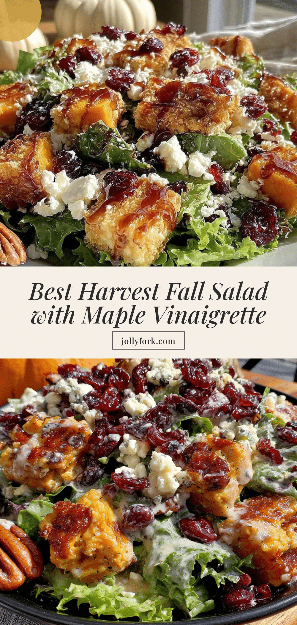 harvest fall salad recipe